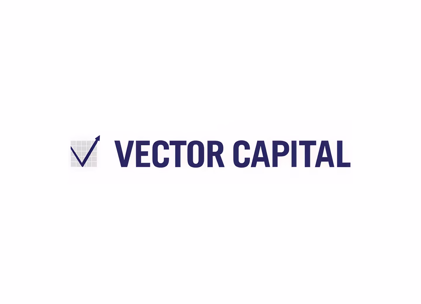 Vector Cap Large