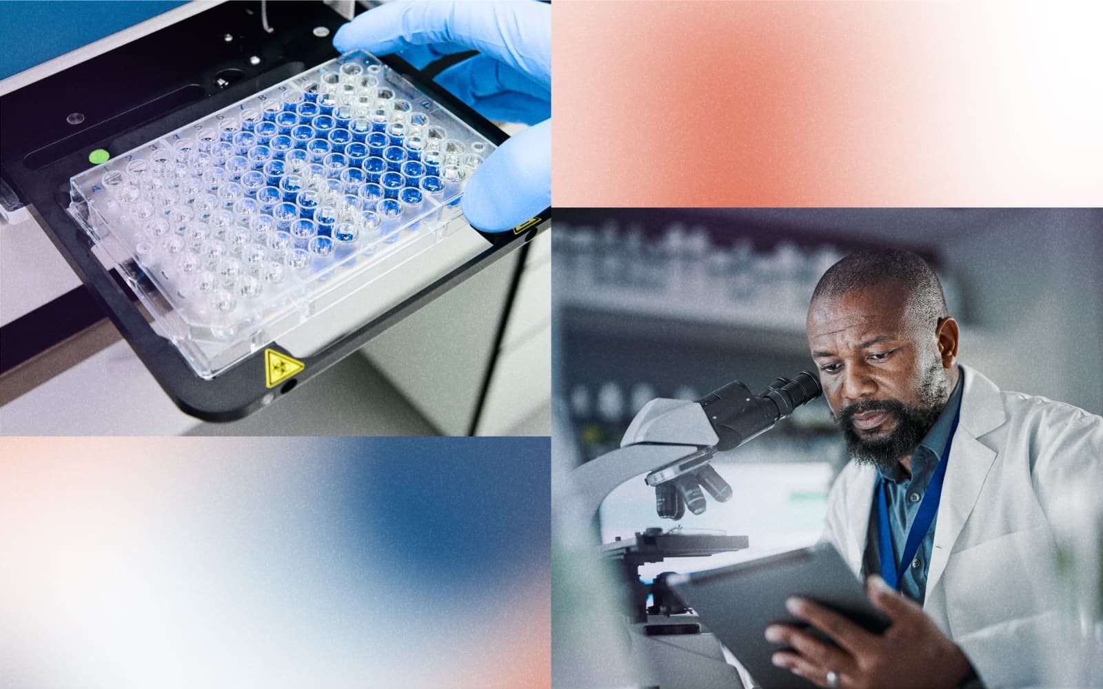 CASE STUDY Promega