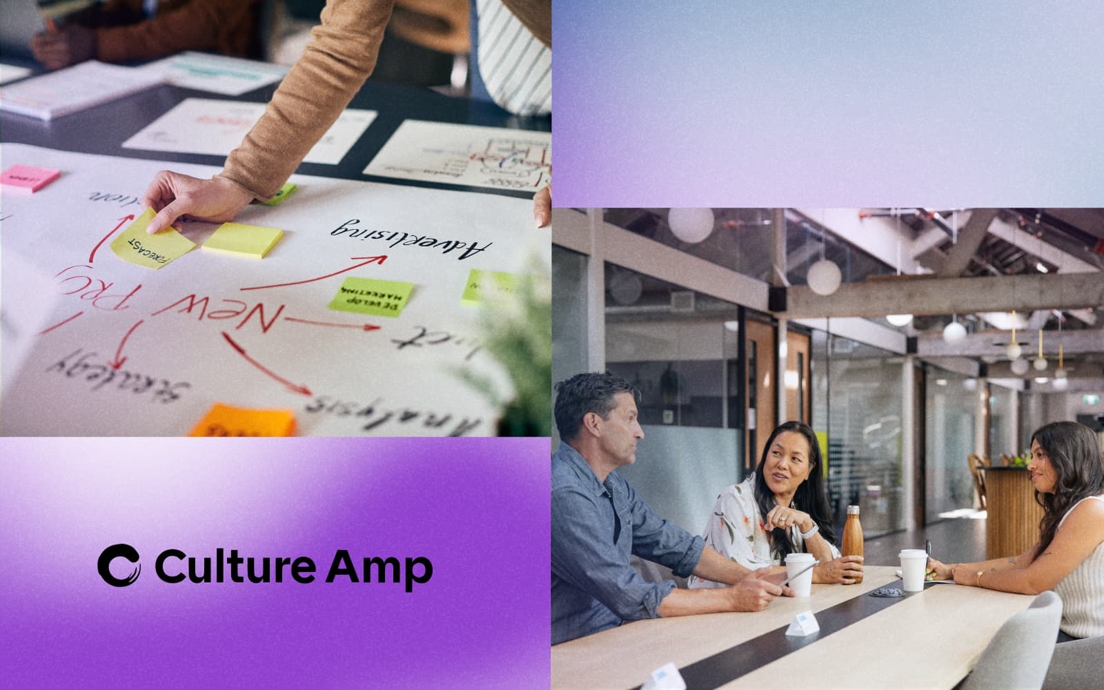 CASE STUDY Culture Amp