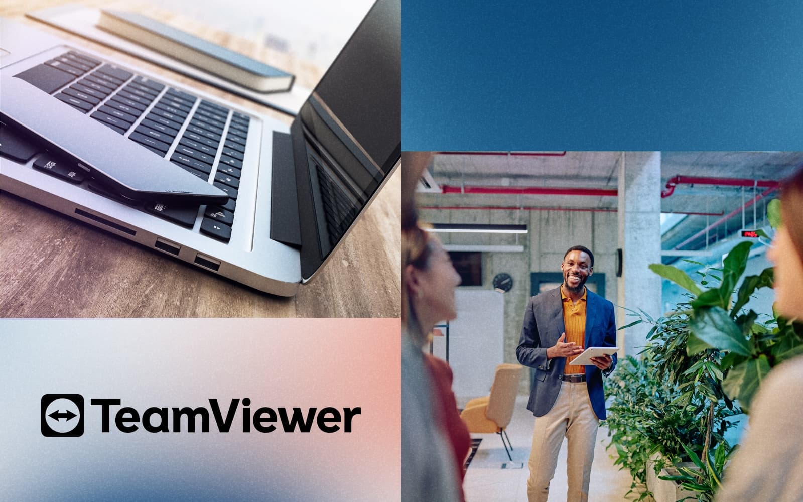 CASE STUDY 1E Teamviewer