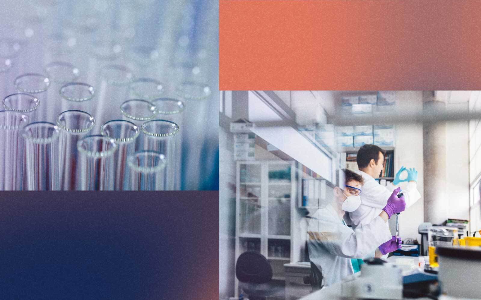 LANXESS